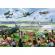 Puzzle trefl 1000 premium plus tea time show aerian