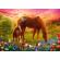 Puzzle trefl 500 calutii la apus