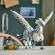 Lego harry potter tm buckbeak 76427