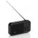 Radio portabil cu acumulator gogen fmp 125 btb, fm, bluetooth, lanterna, card
