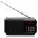 Radio portabil cu acumulator gogen fmp 125 btb, fm, bluetooth, lanterna, card