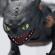 Dragon interactiv how to train your dragon cu efecte luminoase 63 cm