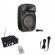 Pachet promotional audio, statie, boxa, microfon