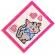 Set de invatat broderie