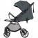 Carucior sport chipolino sparkle basil