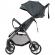 Carucior sport chipolino sparkle basil