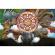 Puzzle trefl 100 cum sa iti dresezi dragonul dragoni in actiune