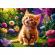 Puzzle trefl 500 pisicuta draguta