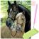 Broderie, pictura, mozaic cu diamante 30 x 40 cai