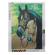 Broderie, pictura, mozaic cu diamante 30 x 40 cai