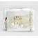 Trusou botez ivory cu ursulet nk0006