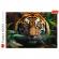 Puzzle trefl 1000 tigru salbatic