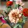 Lego botanicals buchet de flori roz 10342