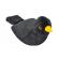 Pasare cu sunet mierla - european blackbird