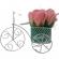 Aranjament floral deosebit 3 trandafiri bicicleta, flori de sapun,