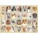 Puzzle portrete de caini 500 piese