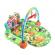 Salteluta cu activitati pentru copii 3 in 1 Baby Jungle