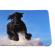 Mousepad - KOTYS - , XXL, gaming si birou, 900 x 400 x 3mm, textil cu baza cauciucata, desen Cai